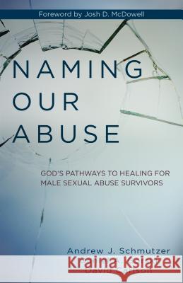 Naming Our Abuse: God's Pathways to Healing for Male Sexual Abuse Survivors