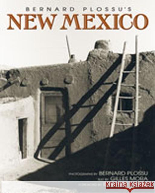 Bernard Plossu's New Mexico