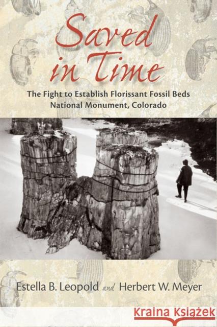 Saved in Time: The Fight to Establish Florissant Fossil Beds National Monument, Colorado