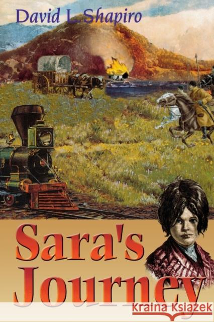 Sara's Journey