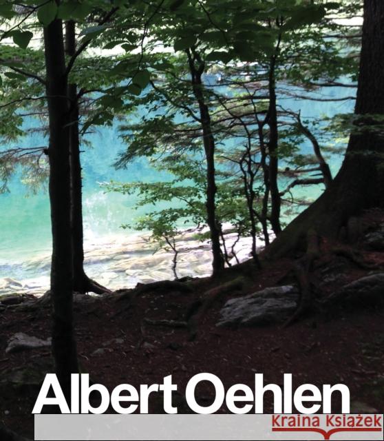 Albert Oehlen: New Paintings