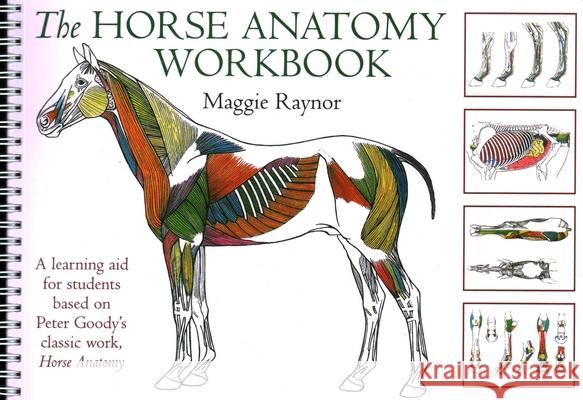Horse Anatomy Workbook: A Learning Aid for Students Based on Peter Goody's Classic Work, Horse Anatomy