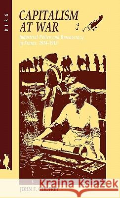 Capitalism at War: Industrial Policy and Bureaucracy in France, 1914-1918