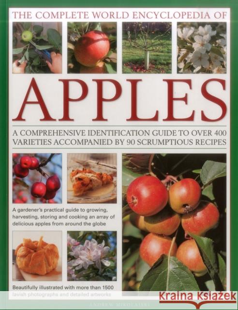 The Complete World Encyclopedia of Apples: A Comprehensive Identification Guide to Over 400 Varieties Accompanied by 95 Scrumptious Recipes