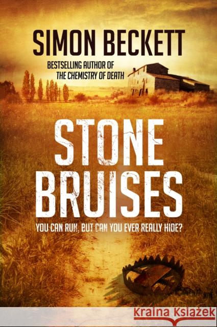 Stone Bruises