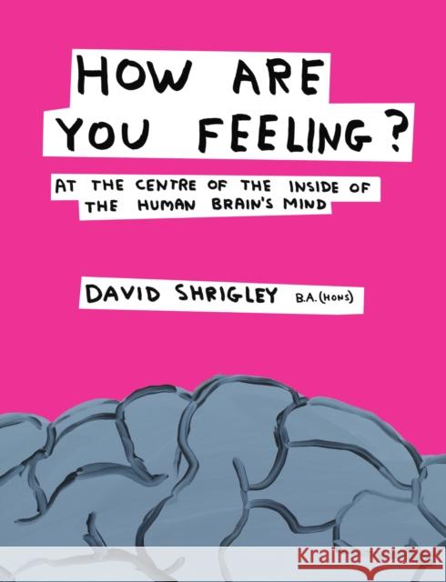 How Are You Feeling?: At the Centre of the Inside of The Human Brain’s Mind
