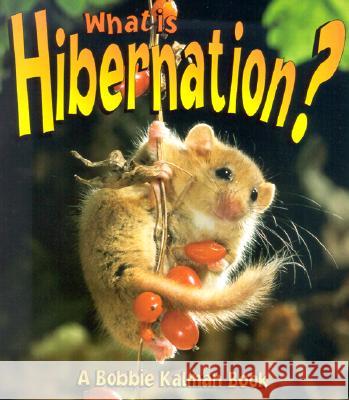 What is Hibernation