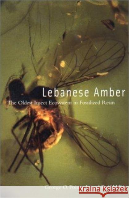 Lebanese Amber: The Oldest Insect Ecosystem in Fossilized Resin