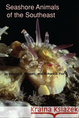 Seashore Animals of the Southeast