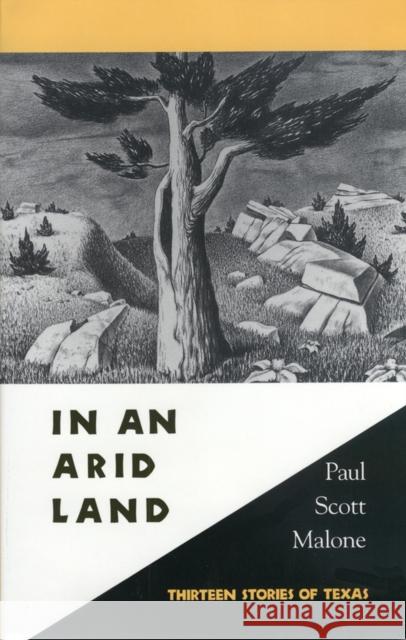 In an Arid Land: Thirteen Stories of Texas