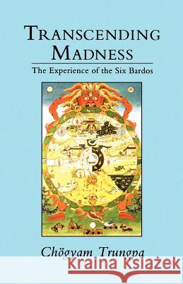 Transcending Madness: The Experience of the Six Bardos