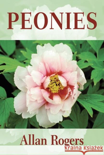 Peonies