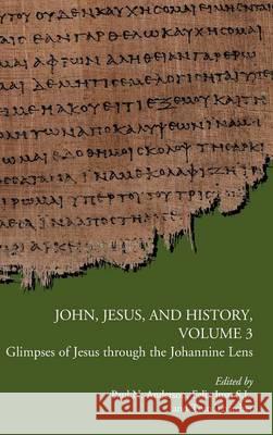 John, Jesus, and History, Volume 3: Glimpses of Jesus through the Johannine Lens