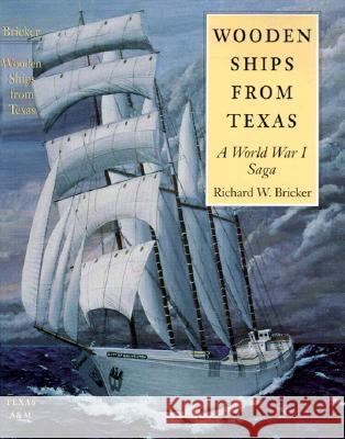 Wooden Ships from Texas: A World War 1 Saga
