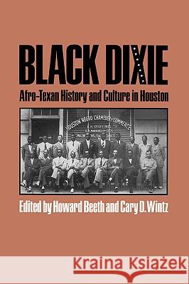 Black Dixie: Afro-Texan History and Culture in Houston