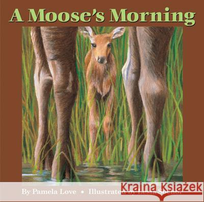 A Moose's Morning