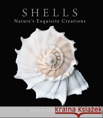 Shells: Nature's Exquisite Creations