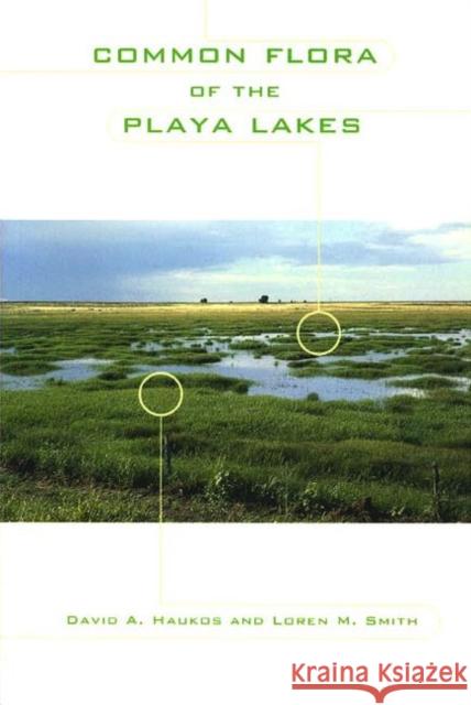 Common Flora of the Playa Lakes