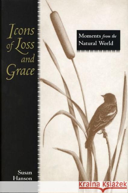 Icons of Loss and Grace: Moments from the Natural World