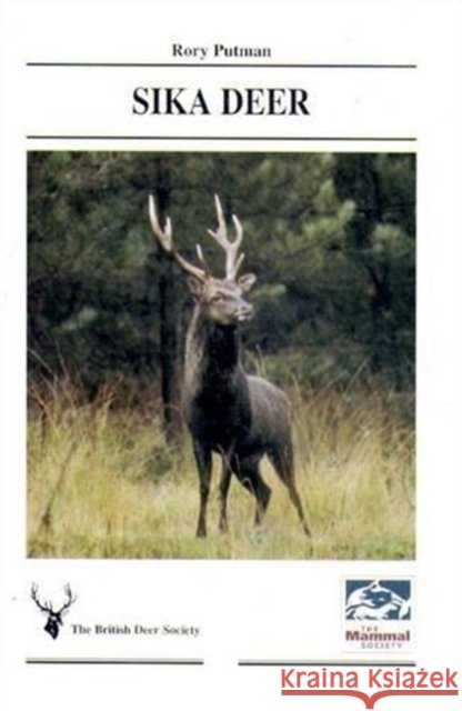 Sika Deer