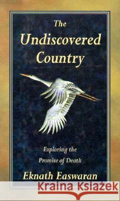 The Undiscovered Country : Exploring the Promise of Death