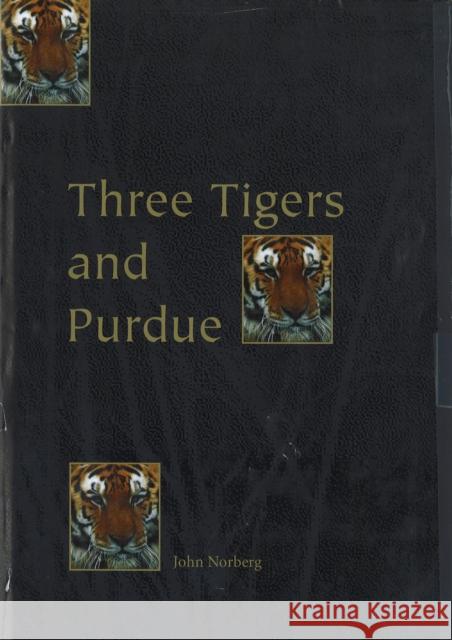 Three Tigers and Purdue: Stories of Korea, Hong Kong, Taiwan, and an American University