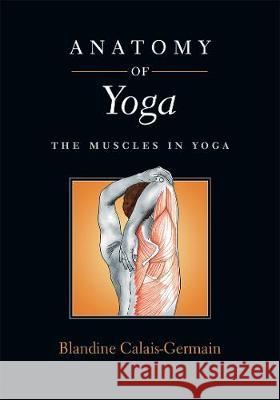 Anatomy of Yoga: The Muscles in Yoga