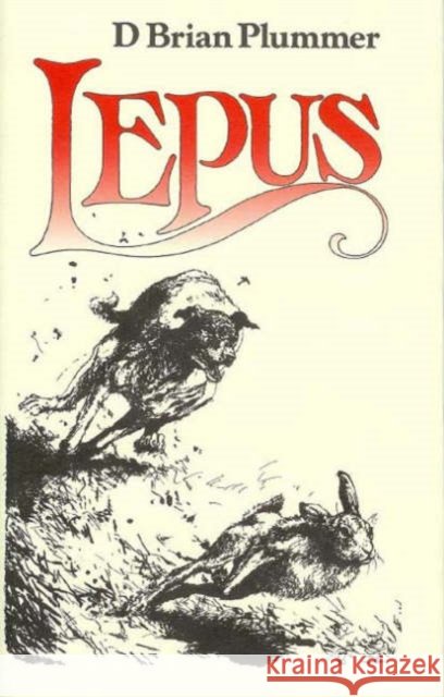 Lepus: The Story of a Hare