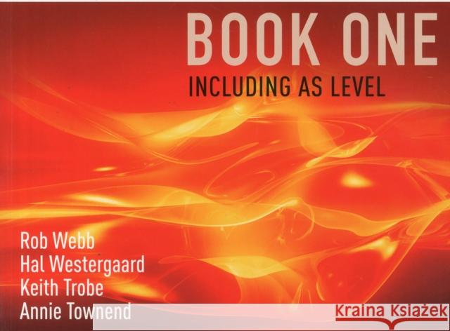 AQA A Level Sociology Book One Including AS Level