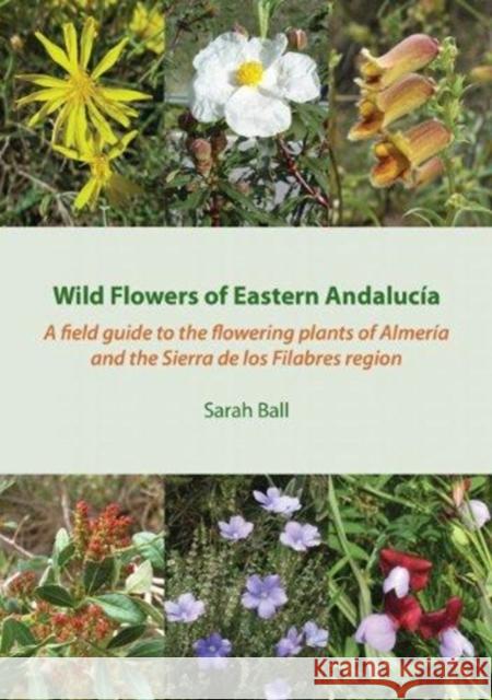 Wild Flowers of Eastern Andalucia: A Field Guide to the Flowering Plants of Almeria and the Sierra De Los Filabres Region