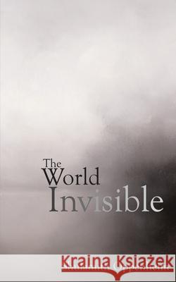 The World Invisible