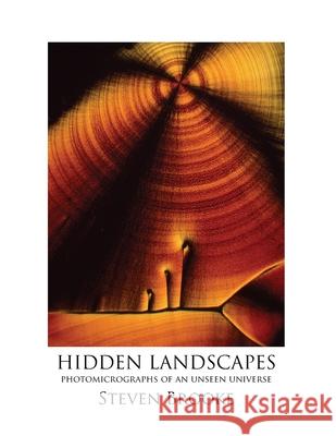 Hidden Landscapes
