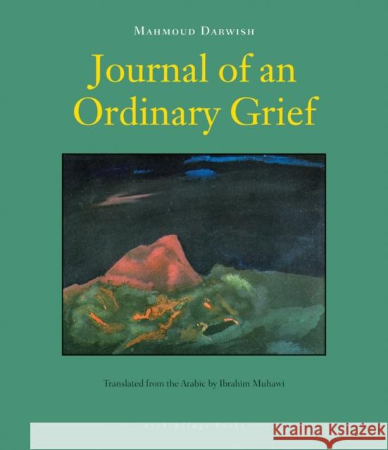 Journal of an Ordinary Grief