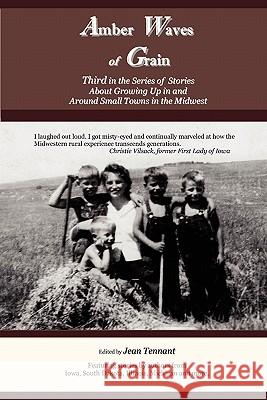 Amber Waves of Grain: Third in the Series of Stories About Growing Up in and Around Small Towns in the Midwest