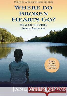 Where Do Broken Hearts Go?: Healing and Hope After Abortion