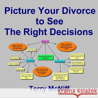Picture Your Divorce to See the Right Decisions