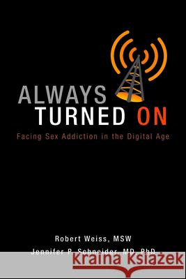 Always Turned on: Sex Addiction in the Digital Age