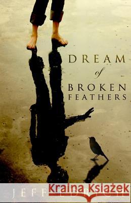 Dream of Broken Feathers