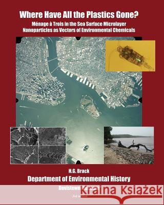 Where Have All the Plastics Gone?: Menage a Trois in the Sea Surface Microlayer: Nanoparticles as Vectors of Environmental Chemicals