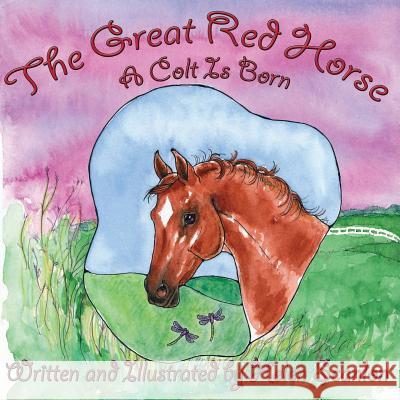 The Great Red Horse: A Colt is Born