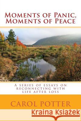 Moments of Panic, Moments of Peace: A series of essays on reconnecting with life after loss