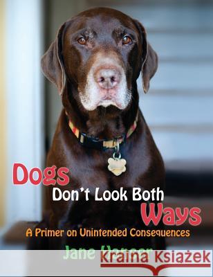 Dogs Don't Look Both Ways: A Primer on Unintended Consequences