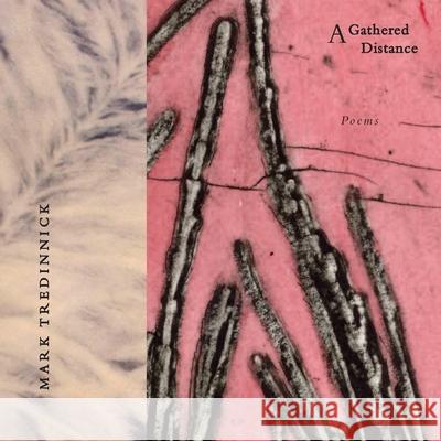 A Gathered Distance: Poems