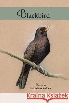 Blackbird: poems