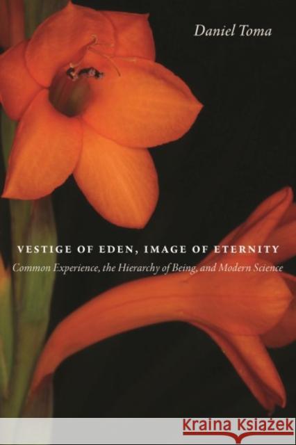 Vestige of Eden, Image of Eternity: Common Experience, the Hierarchy of Being, and Modern Science