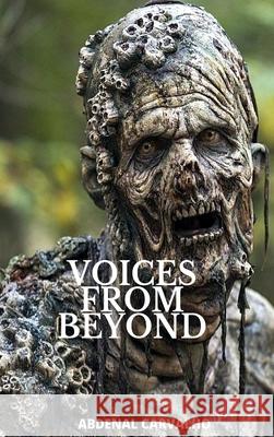 Voices From Beyond: Fiction Novel
