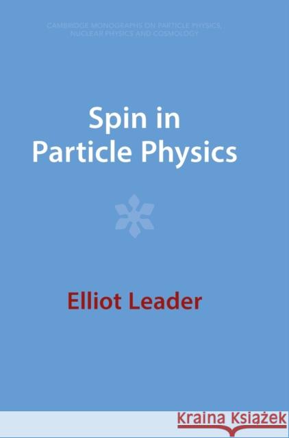 Spin in Particle Physics