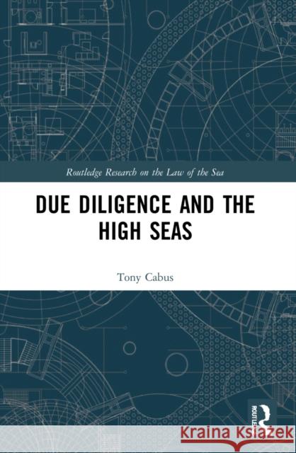 Due Diligence and the High Seas