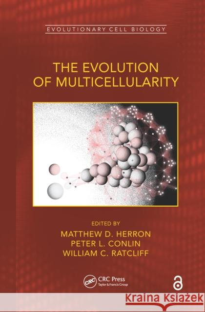 The Evolution of Multicellularity