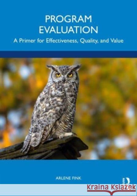 Program Evaluation: A Primer for Effectiveness, Quality, and Value